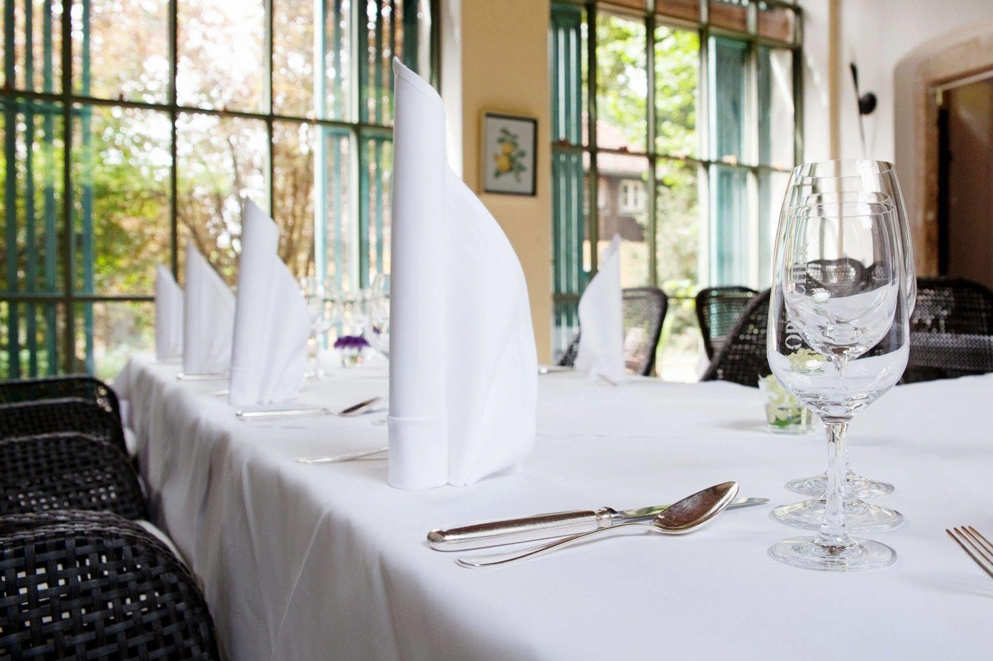 Hotel Villa Sorgenfrei & Restaurant Atelier Sanssouci Radebeul Eksteriør billede